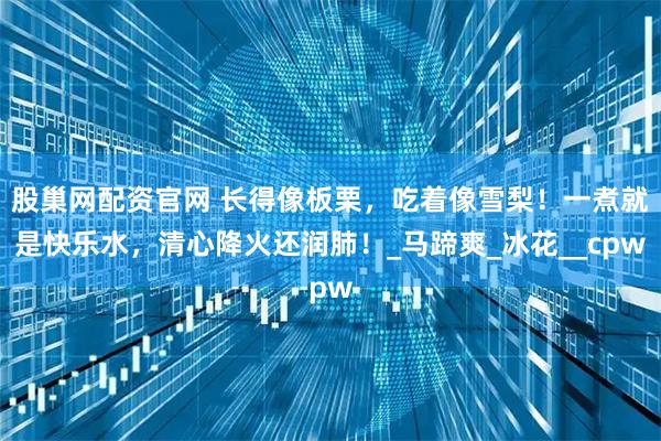 股巢网配资官网 长得像板栗,吃着像雪梨!一煮就是快乐水,清心降火还润肺!_马蹄爽_冰花__cpw