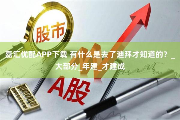 嘉汇优配APP下载 有什么是去了迪拜才知道的?_大部分_年建_才建成